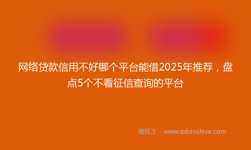 网络贷款信用不好哪个平台能借2025年推荐，盘点5个不看征信查询的平台