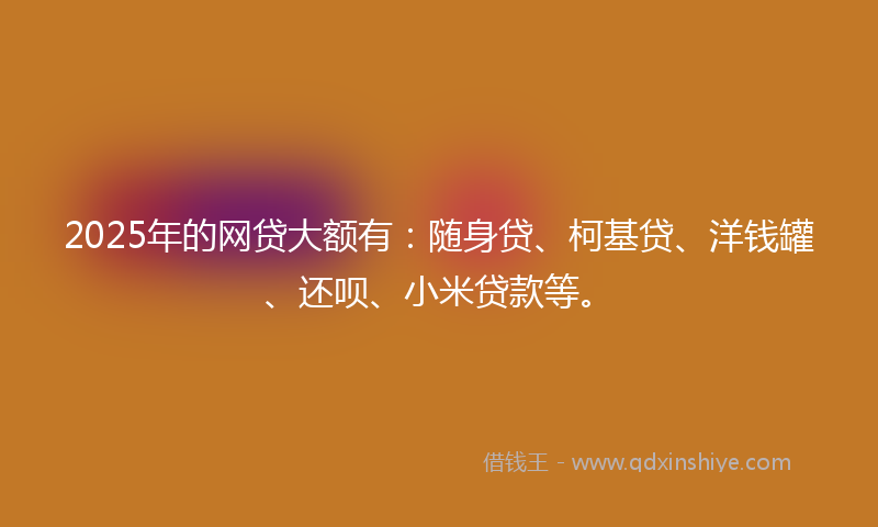 2025年的网贷大额有：随身贷、柯基贷、洋钱罐、还呗、小米贷款等。