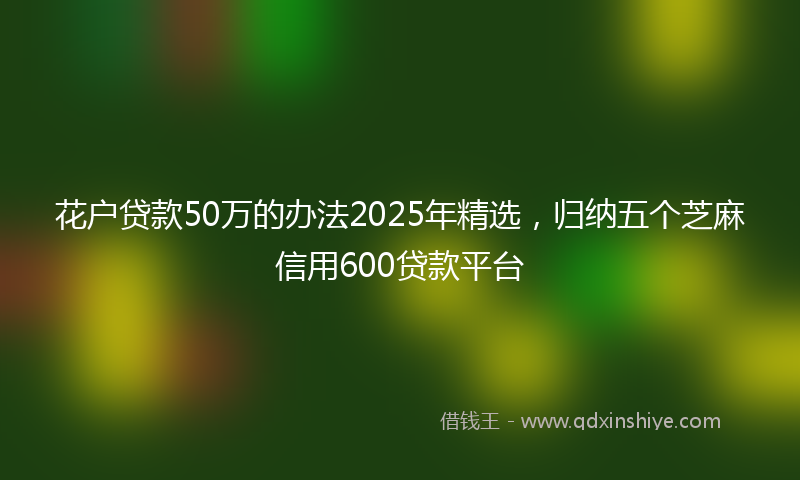 花户贷款50万的办法2025年精选，归纳五个芝麻信用600贷款平台