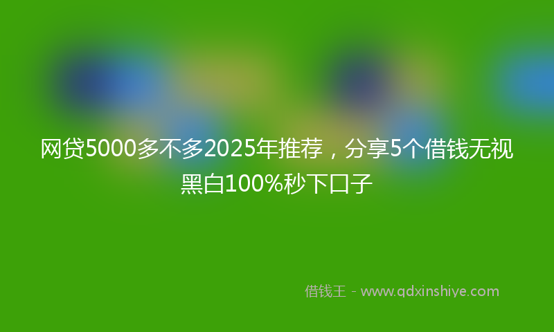 网贷5000多不多2025年推荐，分享5个借钱无视黑白100%秒下口子