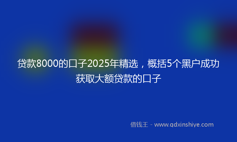贷款8000的口子2025年精选，概括5个黑户成功获取大额贷款的口子