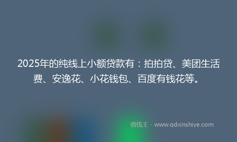 2025年的纯线上小额贷款有：拍拍贷、美团生活费、安逸花、小花钱包、百度有钱花等。