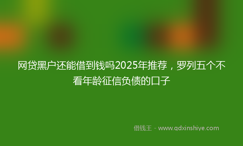 网贷黑户还能借到钱吗2025年推荐，罗列五个不看年龄征信负债的口子