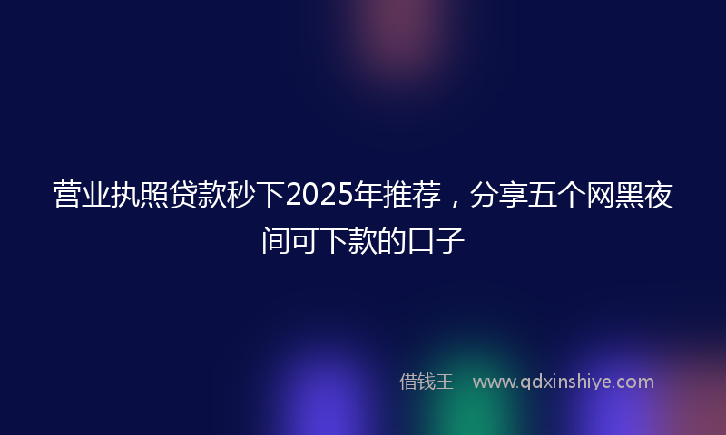 营业执照贷款秒下2025年推荐，分享五个网黑夜间可下款的口子