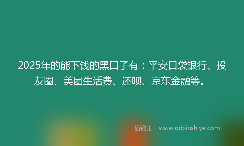 2025年的能下钱的黑口子有：平安口袋银行、投友圈、美团生活费、还呗、京东金融等。