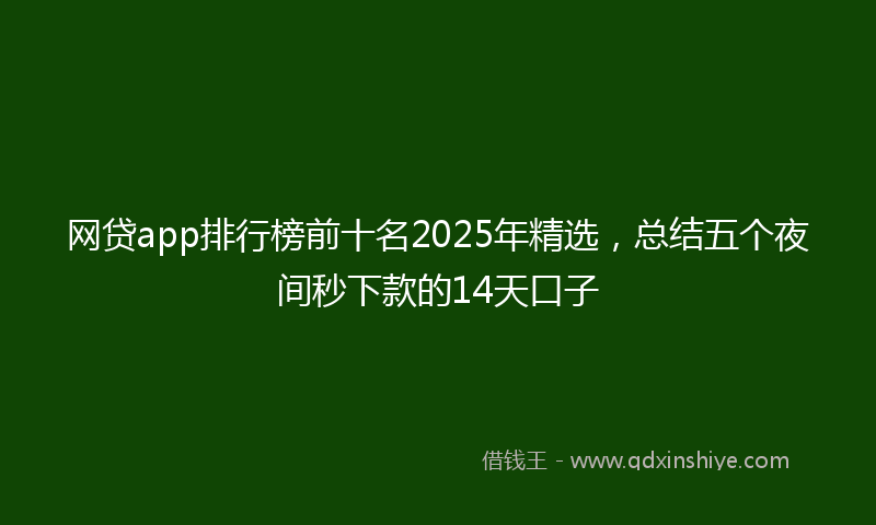 网贷app排行榜前十名2025年精选，总结五个夜间秒下款的14天口子