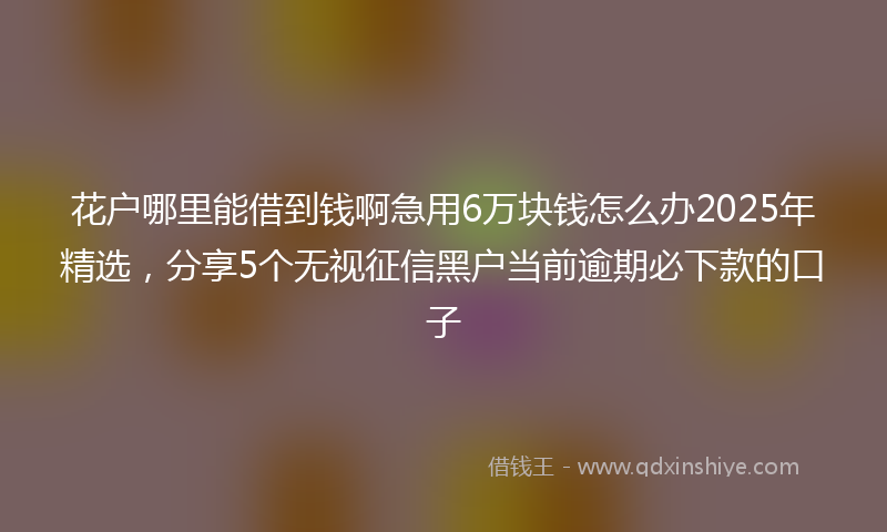 花户哪里能借到钱啊急用6万块钱怎么办2025年精选，分享5个无视征信黑户当前逾期必下款的口子
