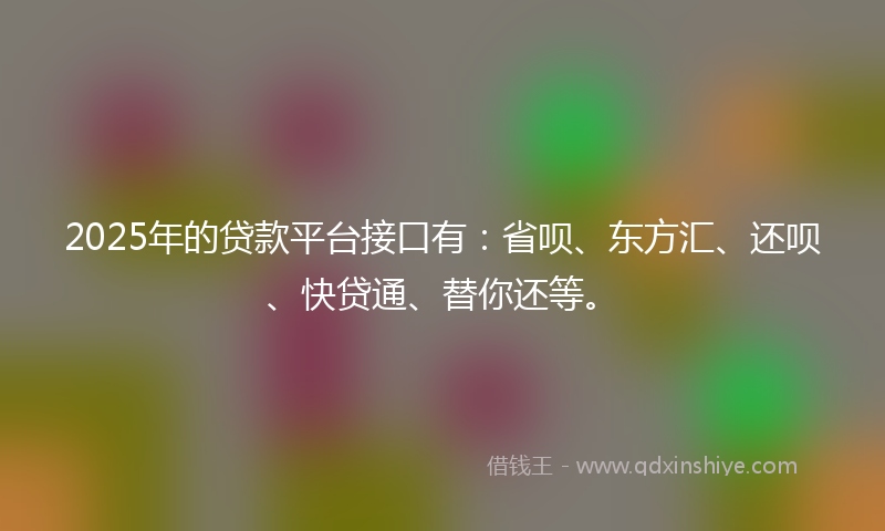 2025年的贷款平台接口有：省呗、东方汇、还呗、快贷通、替你还等。