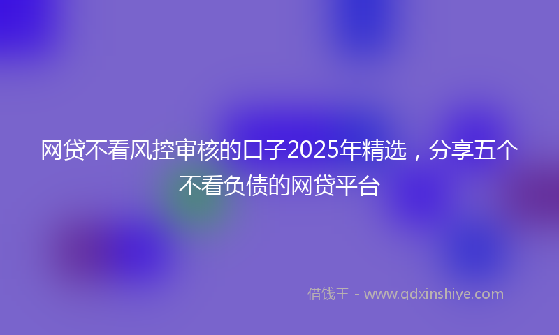 网贷不看风控审核的口子2025年精选，分享五个不看负债的网贷平台