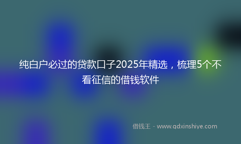 纯白户必过的贷款口子2025年精选，梳理5个不看征信的借钱软件