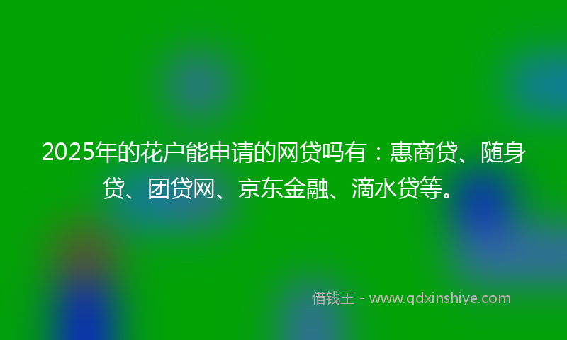 2025年的花户能申请的网贷吗有：惠商贷、随身贷、团贷网、京东金融、滴水贷等。