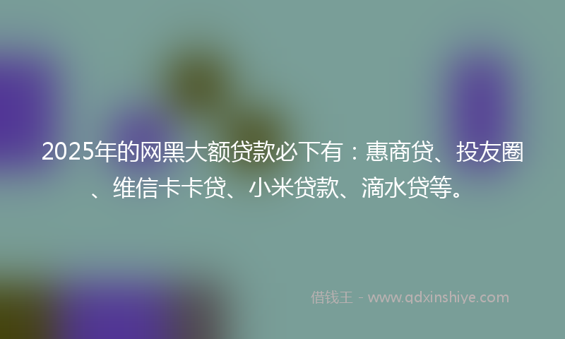 2025年的网黑大额贷款必下有：惠商贷、投友圈、维信卡卡贷、小米贷款、滴水贷等。