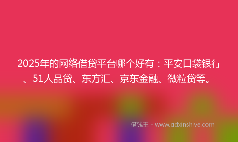 2025年的网络借贷平台哪个好有：平安口袋银行、51人品贷、东方汇、京东金融、微粒贷等。