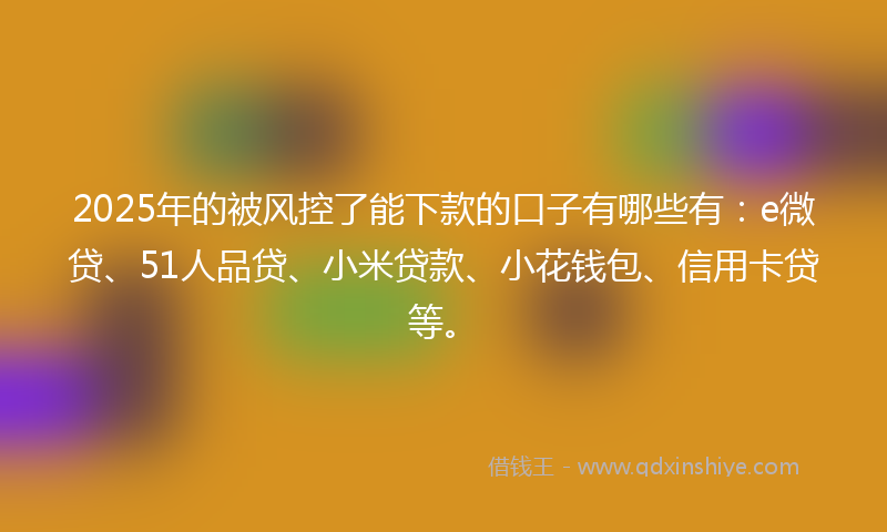 2025年的被风控了能下款的口子有哪些有：e微贷、51人品贷、小米贷款、小花钱包、信用卡贷等。