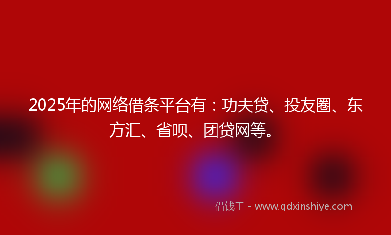 2025年的网络借条平台有：功夫贷、投友圈、东方汇、省呗、团贷网等。