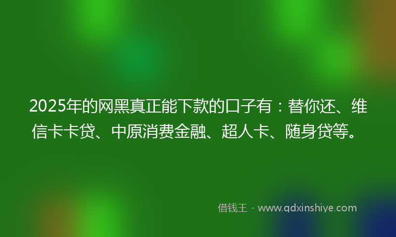 2025年的网黑真正能下款的口子有：替你还、维信卡卡贷、中原消费金融、超人卡、随身贷等。