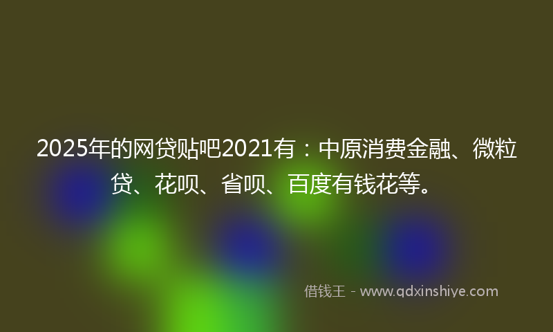 2025年的网贷贴吧2021有：中原消费金融、微粒贷、花呗、省呗、百度有钱花等。