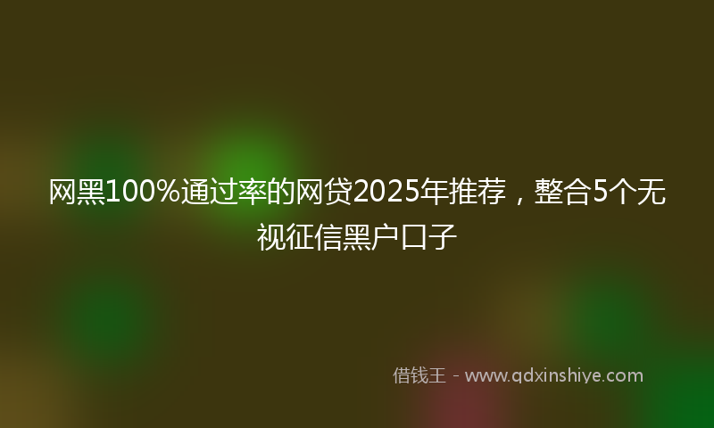 网黑100%通过率的网贷2025年推荐，整合5个无视征信黑户口子