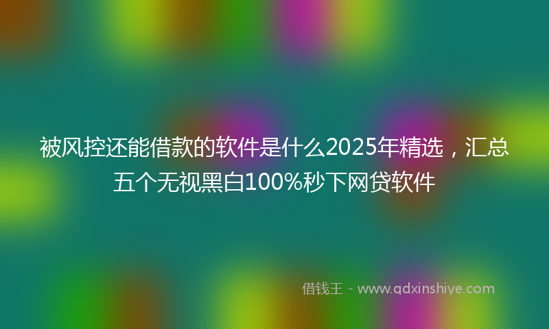 被风控还能借款的软件是什么2025年精选，汇总五个无视黑白100%秒下网贷软件