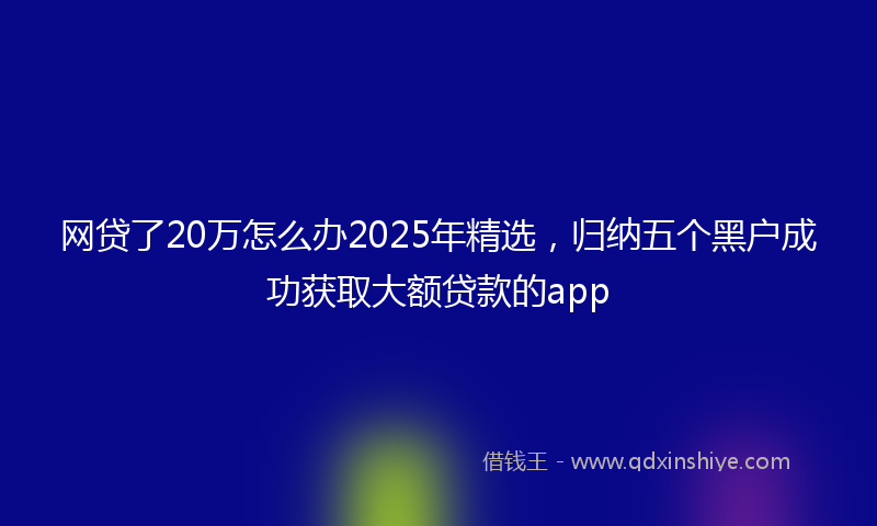 网贷了20万怎么办2025年精选，归纳五个黑户成功获取大额贷款的app