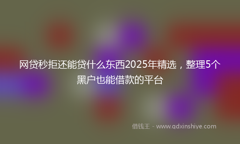 网贷秒拒还能贷什么东西2025年精选，整理5个黑户也能借款的平台
