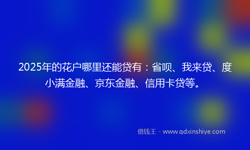 2025年的花户哪里还能贷有：省呗、我来贷、度小满金融、京东金融、信用卡贷等。