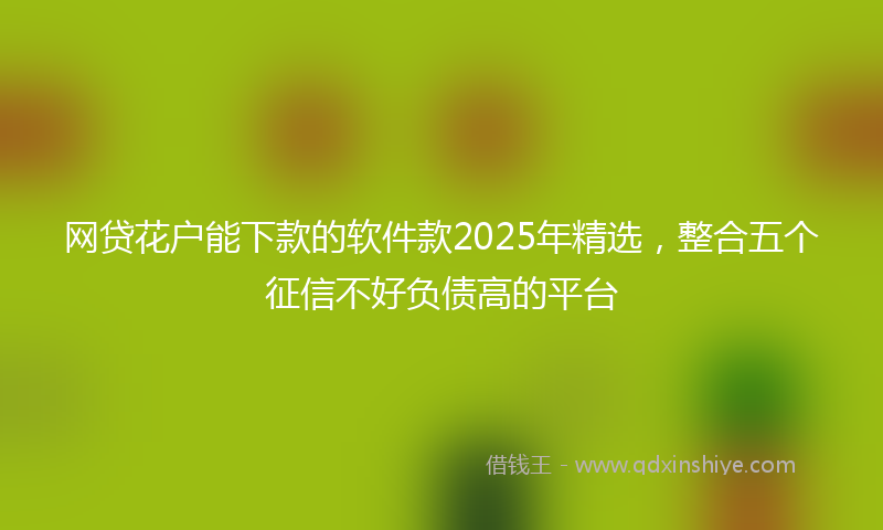 网贷花户能下款的软件款2025年精选，整合五个征信不好负债高的平台