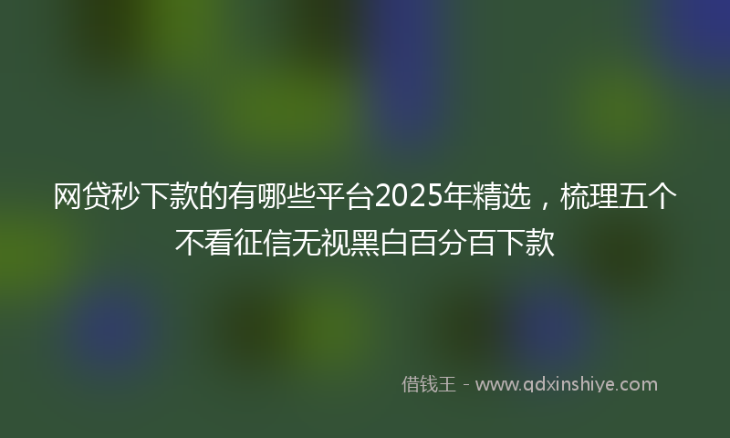 网贷秒下款的有哪些平台2025年精选，梳理五个不看征信无视黑白百分百下款