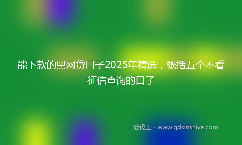 能下款的黑网贷口子2025年精选，概括五个不看征信查询的口子
