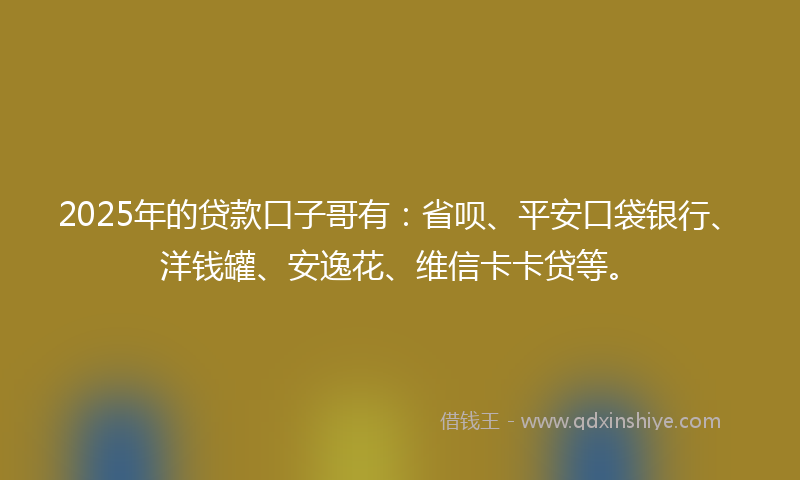2025年的贷款口子哥有：省呗、平安口袋银行、洋钱罐、安逸花、维信卡卡贷等。