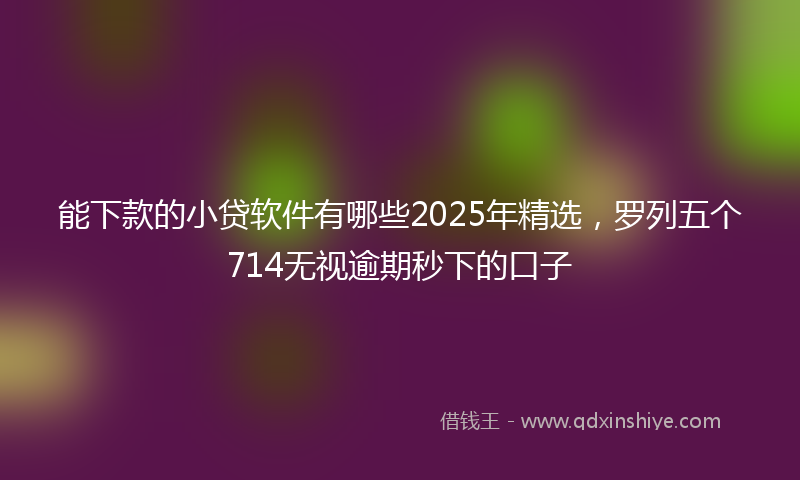能下款的小贷软件有哪些2025年精选，罗列五个714无视逾期秒下的口子