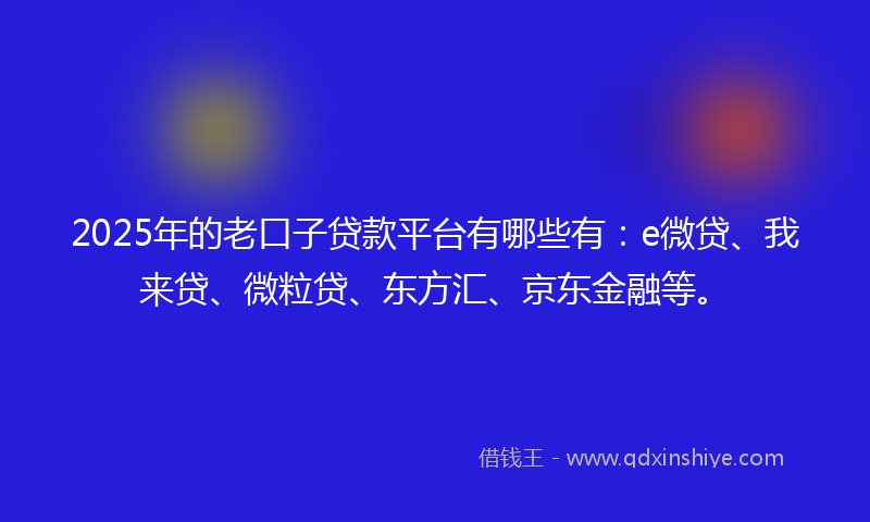 2025年的老口子贷款平台有哪些有：e微贷、我来贷、微粒贷、东方汇、京东金融等。