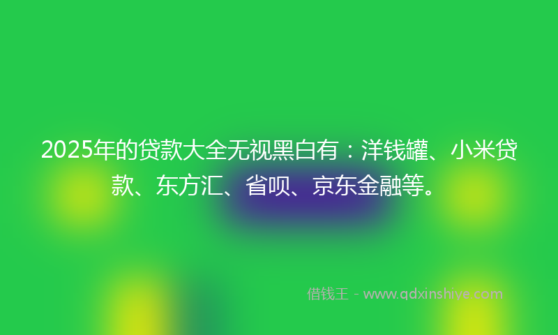 2025年的贷款大全无视黑白有：洋钱罐、小米贷款、东方汇、省呗、京东金融等。