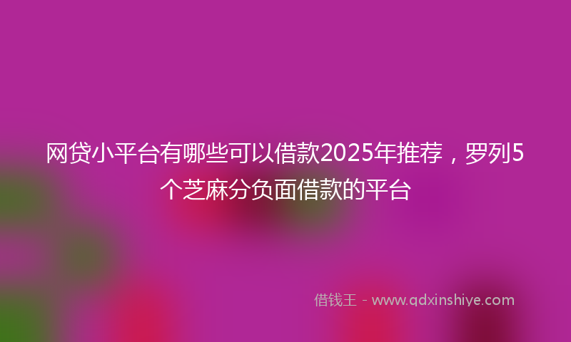 网贷小平台有哪些可以借款2025年推荐，罗列5个芝麻分负面借款的平台
