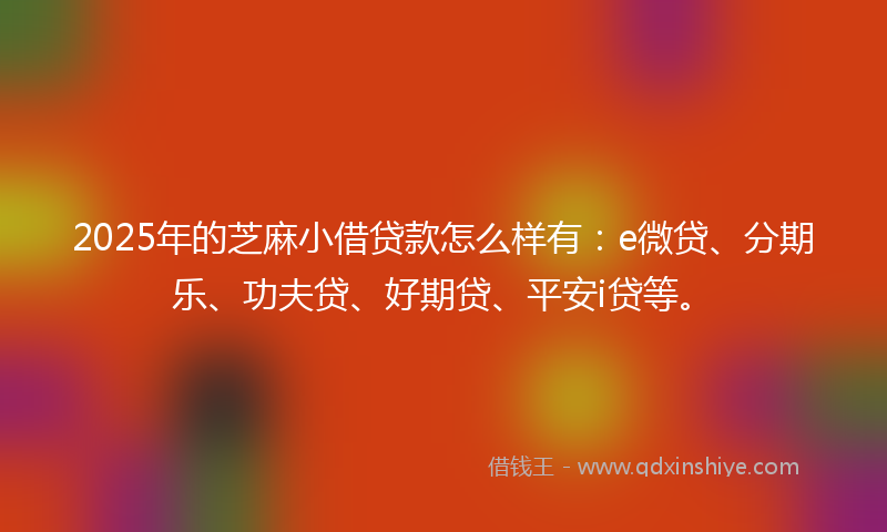 2025年的芝麻小借贷款怎么样有：e微贷、分期乐、功夫贷、好期贷、平安i贷等。