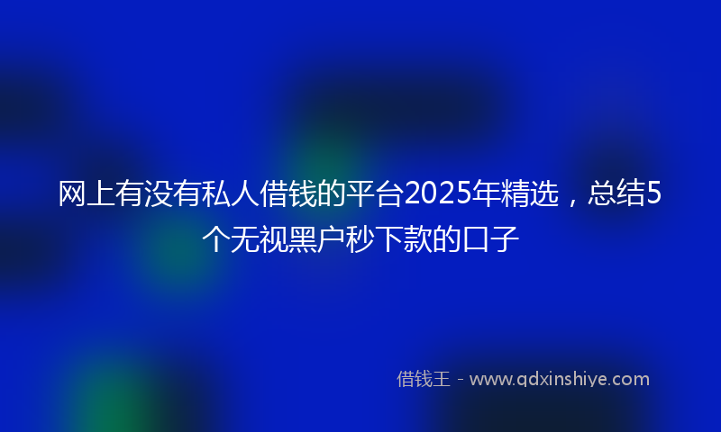 网上有没有私人借钱的平台2025年精选，总结5个无视黑户秒下款的口子