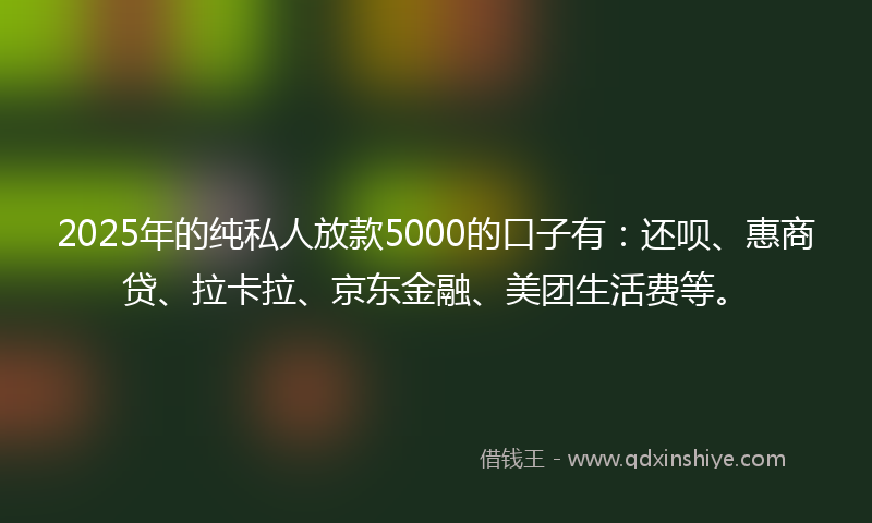 2025年的纯私人放款5000的口子有：还呗、惠商贷、拉卡拉、京东金融、美团生活费等。