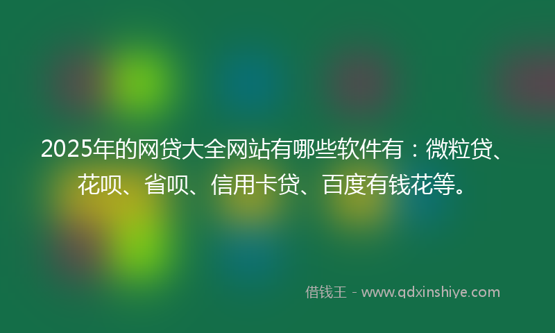 2025年的网贷大全网站有哪些软件有：微粒贷、花呗、省呗、信用卡贷、百度有钱花等。