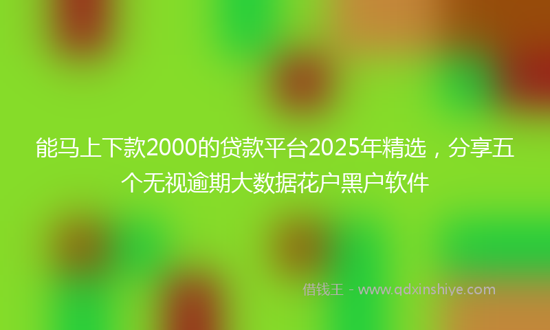 能马上下款2000的贷款平台2025年精选，分享五个无视逾期大数据花户黑户软件