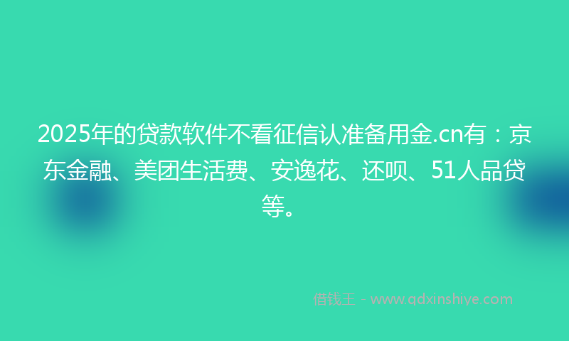 2025年的贷款软件不看征信认准备用金.cn有：京东金融、美团生活费、安逸花、还呗、51人品贷等。
