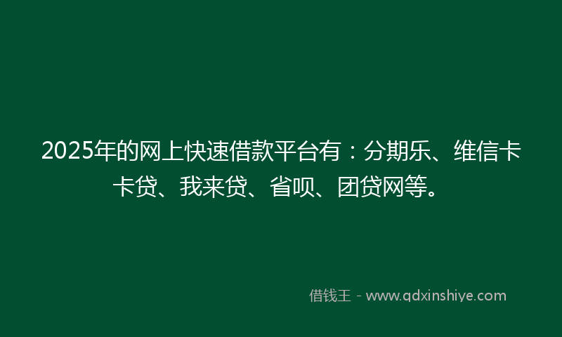 2025年的网上快速借款平台有：分期乐、维信卡卡贷、我来贷、省呗、团贷网等。