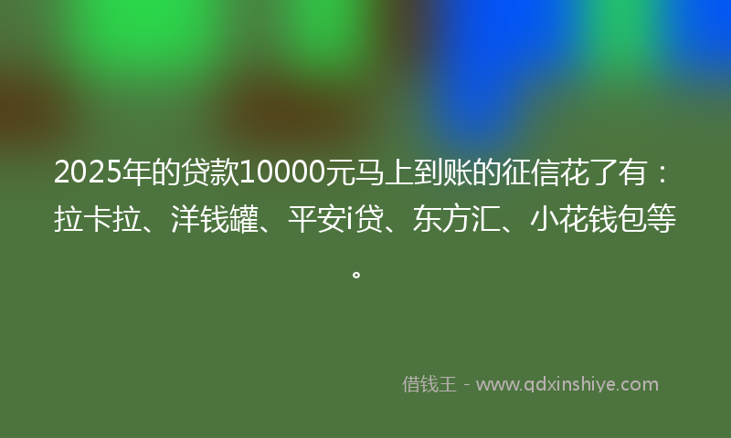 2025年的贷款10000元马上到账的征信花了有：拉卡拉、洋钱罐、平安i贷、东方汇、小花钱包等。