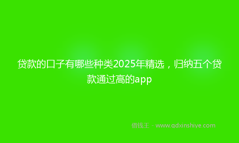 贷款的口子有哪些种类2025年精选，归纳五个贷款通过高的app