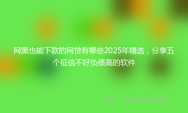 网黑也能下款的网贷有哪些2025年精选，分享五个征信不好负债高的软件