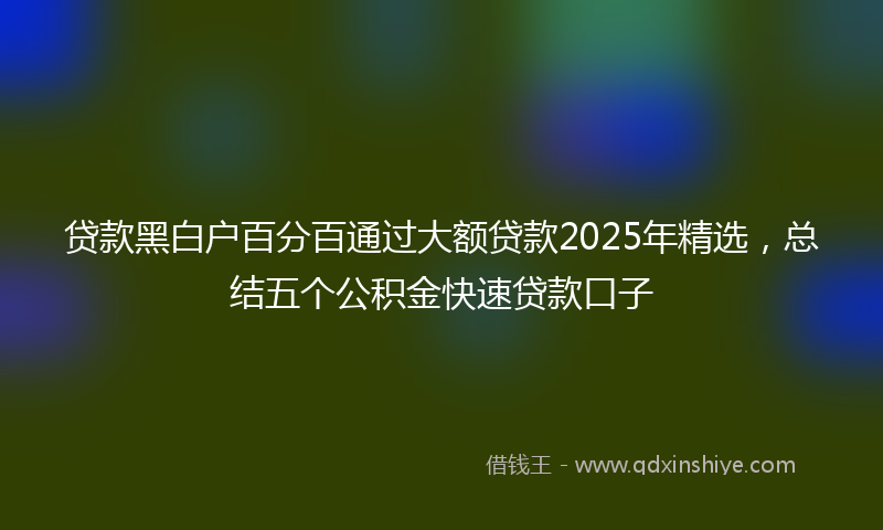 贷款黑白户百分百通过大额贷款2025年精选，总结五个公积金快速贷款口子