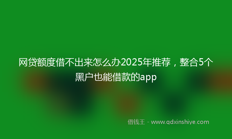 网贷额度借不出来怎么办2025年推荐，整合5个黑户也能借款的app