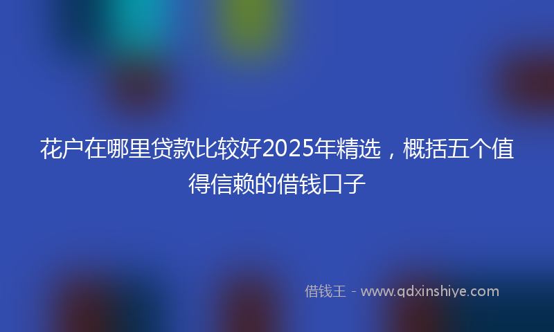 花户在哪里贷款比较好2025年精选，概括五个值得信赖的借钱口子