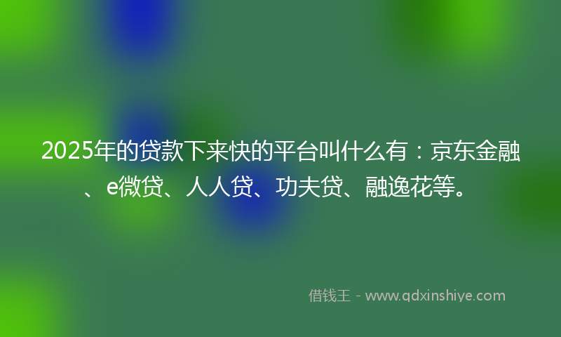 2025年的贷款下来快的平台叫什么有：京东金融、e微贷、人人贷、功夫贷、融逸花等。