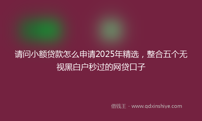 请问小额贷款怎么申请2025年精选，整合五个无视黑白户秒过的网贷口子