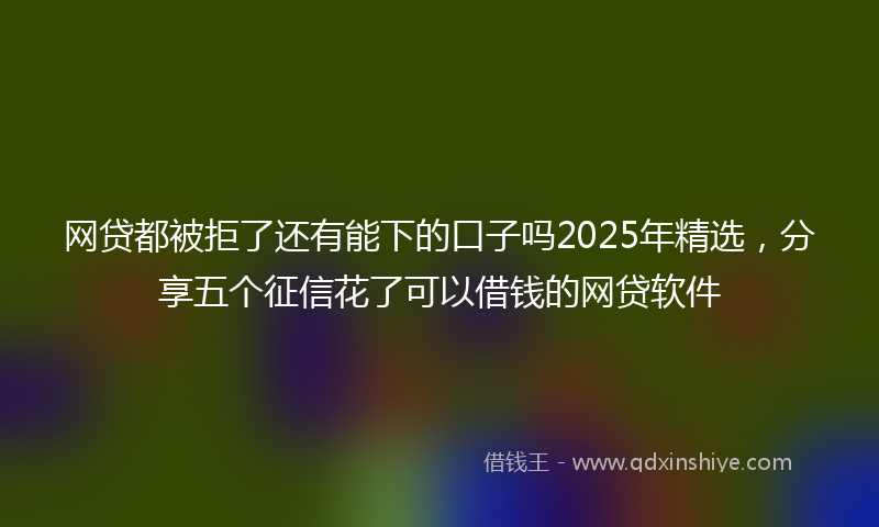 网贷都被拒了还有能下的口子吗2025年精选，分享五个征信花了可以借钱的网贷软件
